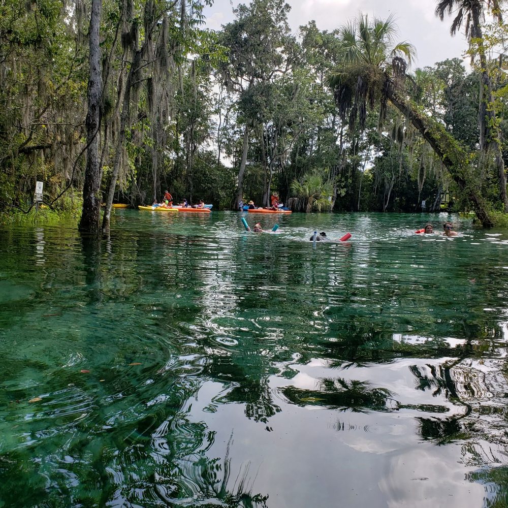 Three Sisters Springs - People snorkeling at the spring - Tours Near Me - Crystal River, Florida Three Sisters Springs - People snorkeling at the spring - Tours Near Me - Crystal River, Florida