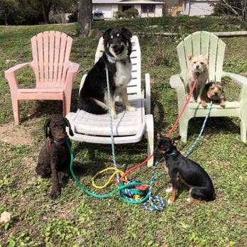 Walk! ATX Pet Care - Dog Walkers Near Me - Austin, Texas Walk! ATX Pet Care - Dog Walkers Near Me - Austin, Texas