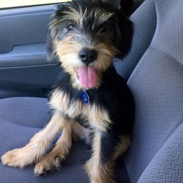 Meet Teddy Roosevelt Meet Teddy Roosevelt