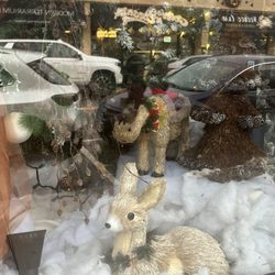 Masters & Company Florist