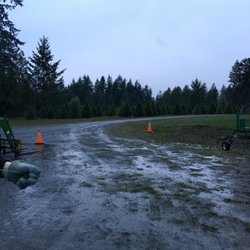 Jones Tree Farm