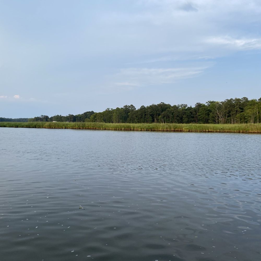 Jamestown Discovery - Boat Tours Near Me - Williamsburg, Virginia Jamestown Discovery - Boat Tours Near Me - Williamsburg, Virginia