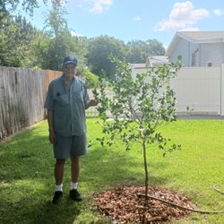 HOA nursery had the perfect key-lime tree already blossoming and bearing fruit, early father's day gift
