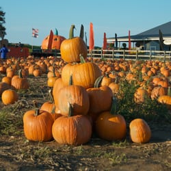 Helen's Greenhouse - Taken October 25, 2014.