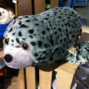 Seattle Aquarium Gift Store - Gift Shops Near Me - Seattle, Washington