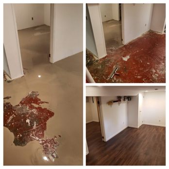 Bella's Flooring - Our basement floor was leveled and updated. The results are great. - Flooring Near Me - Seattle, Washington Bella's Flooring - Our basement floor was leveled and updated. The results are great. - Flooring Near Me - Seattle, Washington