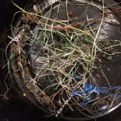 Super-Sod - Examples of plastics found in Super Sod / Soil3 soil
