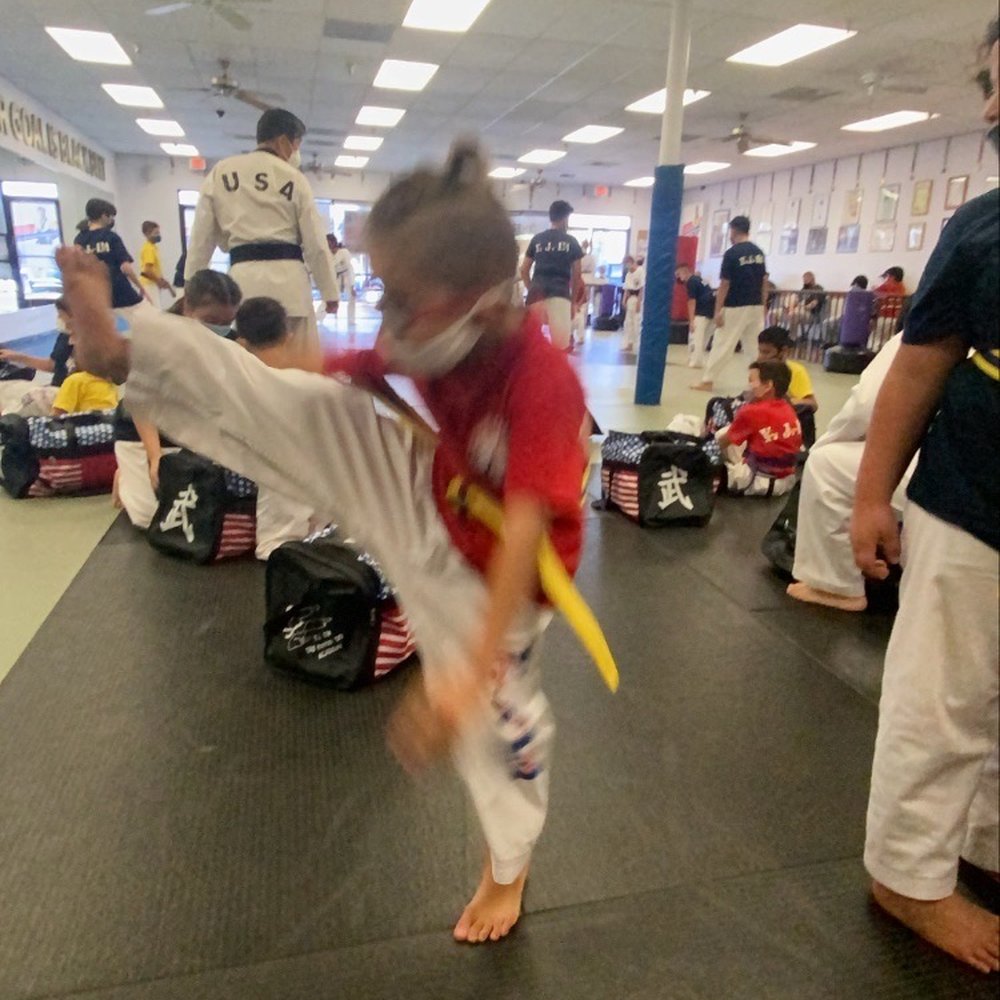 Tae kwon do Academy , Martial arts.