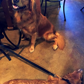 Bacchus & Venus - Dog friendly! - Wine Bars Near Me - Sausalito, California