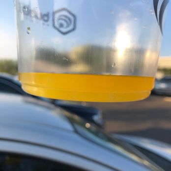 Bubble Bee - 5 different hairs/lengths and weird floaties - Coffee & Tea Near Me - Gilbert, Arizona