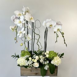 Flower Synergy - The Orchid Paradise, which features two double stem phalaenopsis orchids with hydrangea and roses.