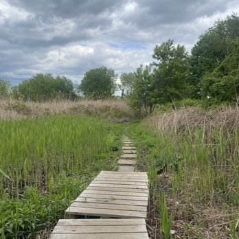 Pat Dolan Trail - Hiking Near Me - Flushing, New York Pat Dolan Trail - Hiking Near Me - Flushing, New York