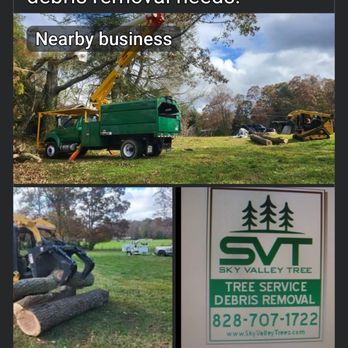 Sky Valley Trees - Tree Services Near Me - Arden, North Carolina
