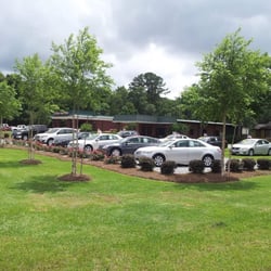 Darwin Harris Automotive - Darwin Harris Automotive Sales and Auto Detailing