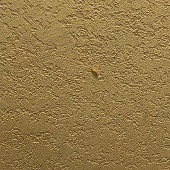 Quality Inn & Suites - Some kind of gross ( honestly looks like a booger ) thing on the wall - Hotels Near Me - Mobile, Alabama