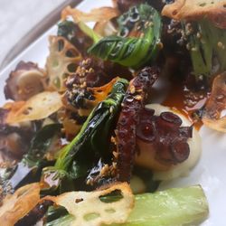 Llamber - Octopus dish