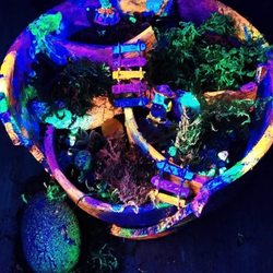 Jenna's Succs - Day Glow Black Light Painted