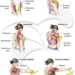 Good Energy Holistic Massage Studio - Shoulder problems?