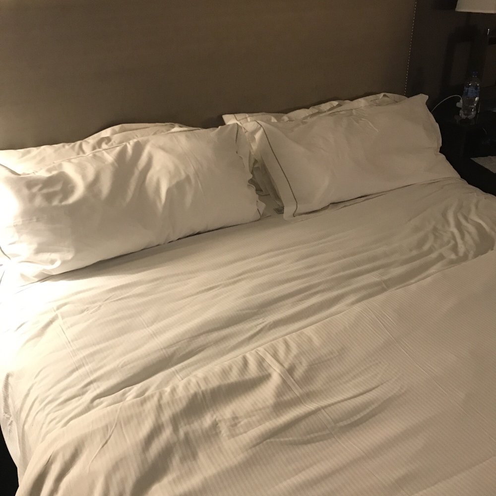 Hilton Concord - Hotels Near Me - Concord, California