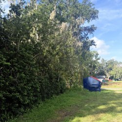 Costas Tree Service - Trees not cut