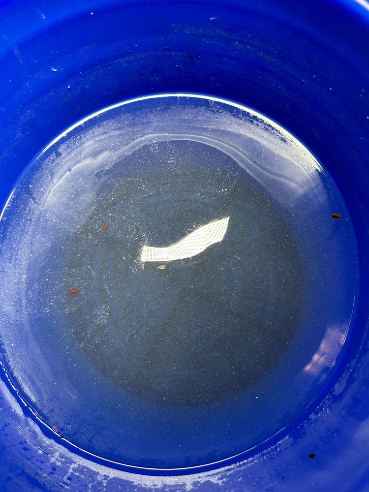 Slide of Descaling and Roof Proof Guy