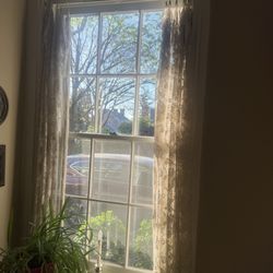 1st State Window Cleaning - A sparkling, clean window!