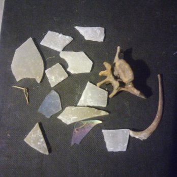 Annie's Garden Florist - These are pieces of glass and bones from their yard that they put in container. - Florists Near Me - Corning, California Annie's Garden Florist - These are pieces of glass and bones from their yard that they put in container. - Florists Near Me - Corning, California