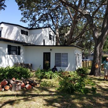 Hulk Tree Service - Tree Services Near Me - Largo, Florida Hulk Tree Service - Tree Services Near Me - Largo, Florida