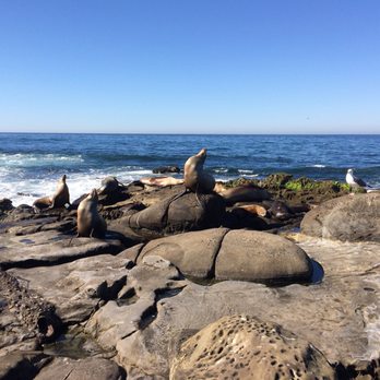 La Jolla Cove - Parks Near Me - La Jolla, California La Jolla Cove - Parks Near Me - La Jolla, California