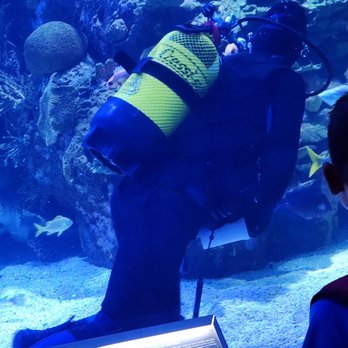 Oceanogràfic - Aquariums Near Me - Valencia, V