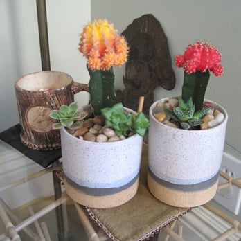 PublicUs - In addition to holding deliciously roasted coffee at PublicUS, these cups, for sale next to the espresso machines, make nice planters too! - Coffee & Tea Near Me - Las Vegas, Nevada PublicUs - In addition to holding deliciously roasted coffee at PublicUS, these cups, for sale next to the espresso machines, make nice planters too! - Coffee & Tea Near Me - Las Vegas, Nevada