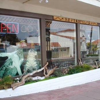Reptiles Reptropolis - Reptile Shops Near Me - Capistrano Beach, California
