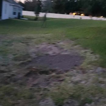 Traveling Trees Garden Center - Removed Oak 2 (backyard) - Landscaping Near Me - Clermont, Florida Traveling Trees Garden Center - Removed Oak 2 (backyard) - Landscaping Near Me - Clermont, Florida