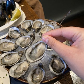 Taylor Shellfish Oyster Bar - Shigoku oysters - Seafood Near Me - Seattle, Washington