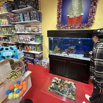 Unique Toy Shop - Fish tank - Toy Stores Near Me - Canandaigua, New York Unique Toy Shop - Fish tank - Toy Stores Near Me - Canandaigua, New York