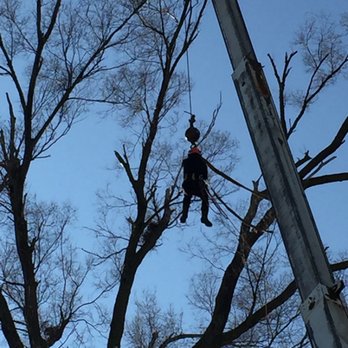 Big Chipper - Tree Services Near Me - Grand Rapids, Michigan