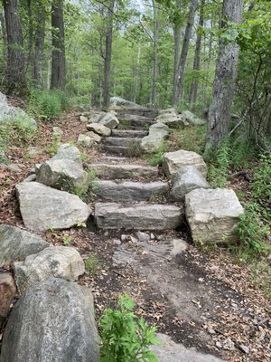 Harriman State Park by null