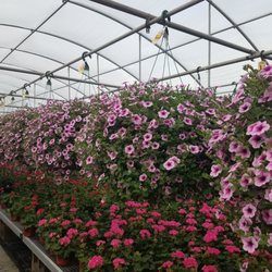2021 Greenhouses