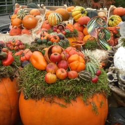 De Pure Markt - Pumpkins, gourds, and pumpkin arrangements.