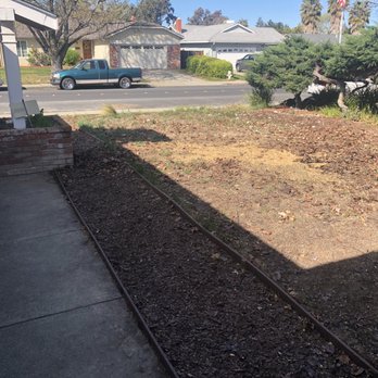 Clear Vista Tree Service - What tree?!?! They cleaned up before leaving. - Tree Services Near Me