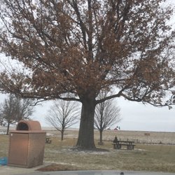 Buddy's Corral - A tree