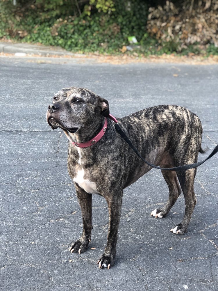 EL SOBRANTE VETERINARY HOSPITAL 22 Photos & 73 Reviews 401 Valley