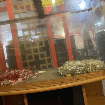 Panda House - Empty fish bowl - Chinese Near Me - Spring Valley, California Panda House - Empty fish bowl - Chinese Near Me - Spring Valley, California