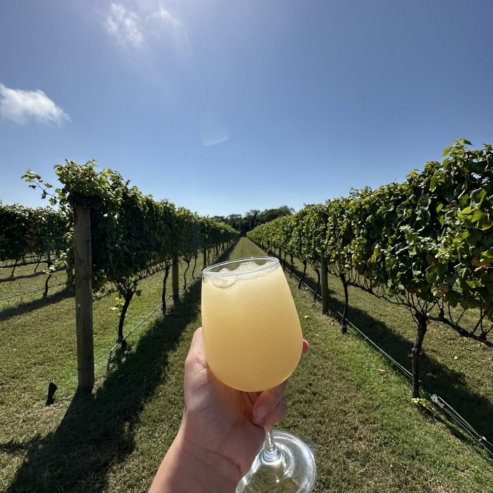 Willow Creek Winery - Wineries Near Me - West Cape May, New Jersey Willow Creek Winery - Wineries Near Me - West Cape May, New Jersey