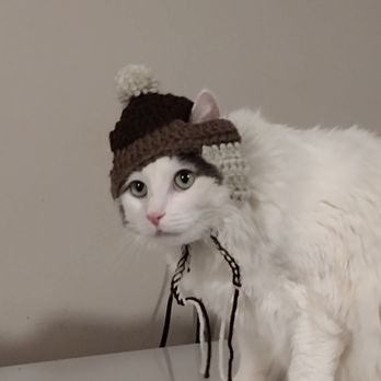 BEST CARE PET CLINIC - Updated January 2025 - 66 Photos &amp; 336 