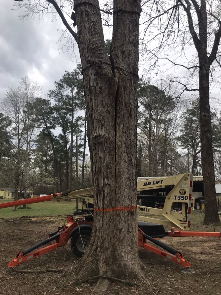 Slide of Roberts Tree Service and Home Repair