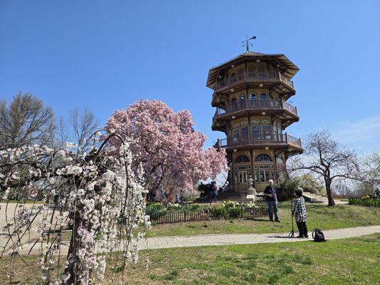 Patterson Park by null