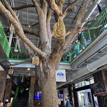 CHARLOTTE BEER GARDEN - Updated September 2024 - 514 Photos & 299