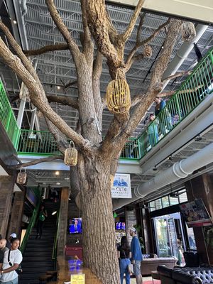 Charlotte Beer Garden by null