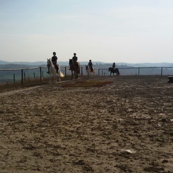 ASD Il Destriero - Horseback Riding Near Me - Buonconvento, SI